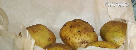 печеный картофель по-французски. Шаг 2