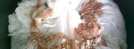 долма из копченой рыбы. Шаг 7