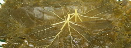 долма из молодых виноградных листьев с начинкой из смешанного фарша. Шаг 3