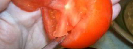 долма из овощей. Шаг 2