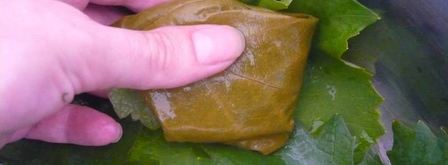 долма из свежих виноградных листьев. Шаг 11
