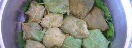 долма из свежих виноградных листьев. Шаг 12
