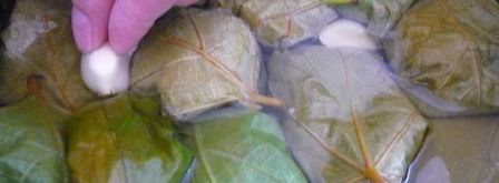 долма из свежих виноградных листьев. Шаг 13