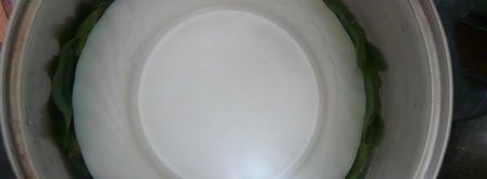 долма из свежих виноградных листьев. Шаг 14