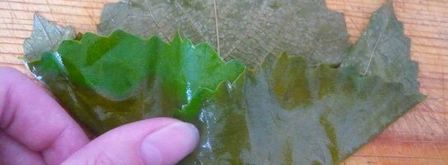 долма из свежих виноградных листьев. Шаг 9