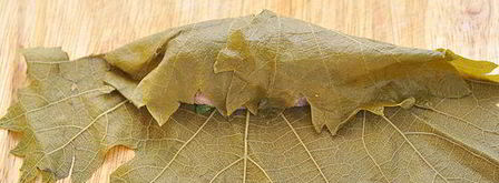 голубцы в виноградных листьях. Шаг 7
