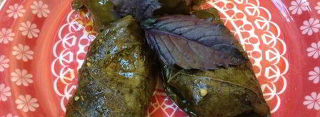 овощная долма. Шаг 11