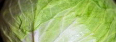 запеченные голубцы в сметанном соусе. Шаг 4