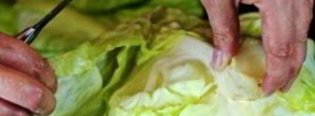 запеченные голубцы в сметанном соусе. Шаг 8