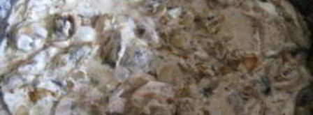 белые грибы в мультиварке. Шаг 4