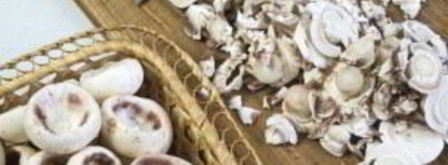 фаршированные шампиньоны с сыром и зеленью. Шаг 2