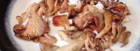 грибы под соусом бешамель. Шаг 5