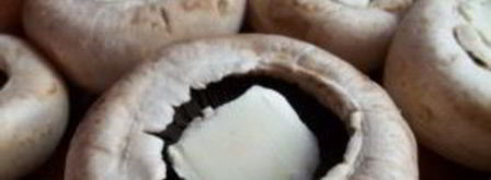 грибы под сыром в духовке. Шаг 4