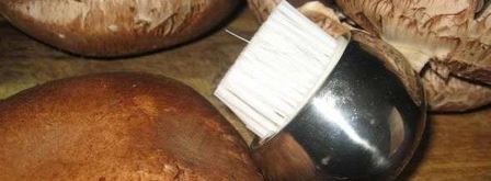 грибы запеченные с сыром. Шаг 16