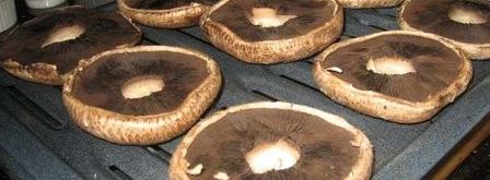 грибы запеченные с сыром. Шаг 18