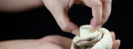 шампиньоны, фаршированные курицей и сыром. Шаг 3