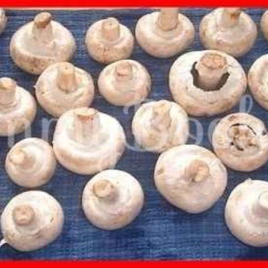 Рецепт шампиньонов фаршированных с беконом