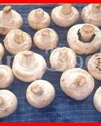 Шампиньоны фаршированные с беконом