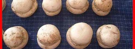 шампиньоны фаршированные с беконом. Шаг 21