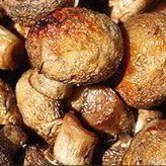 Рецепт шампиньонов на мангале