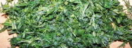 вешенки тушеные. Шаг 6