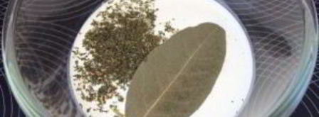 жареные грибы с сыром. Шаг 2