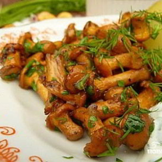 Рецепт жареных рыжиков