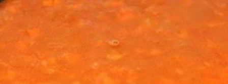 гуляш из рыбы. Шаг 4