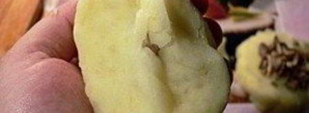 картофельные котлеты с грибами. Шаг 5