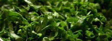 грибная лазанья. Шаг 5