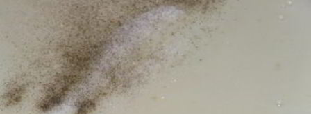 лазанья из лумакони с мясным соусом по-мексикански. Шаг 6