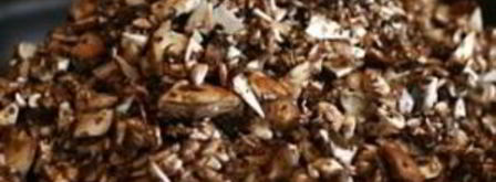 лазанья с грибами и шпинатом. Шаг 2