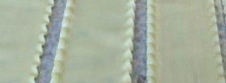 лазанья с тунцом. Шаг 5