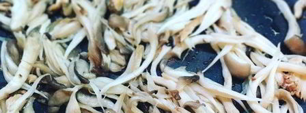 лазанья с вешенками под соусом бешамель. Шаг 5