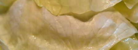 ленивый голубец-лазанья. Шаг 4