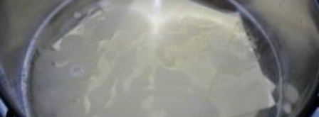 сырная лазанья. Шаг 3