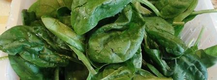 каннеллони под соусом бешамель с рикоттой и шпинатом. Шаг 3