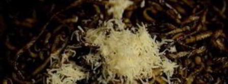 паста с каракатицей. Шаг 7