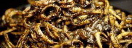 паста с каракатицей. Шаг 8