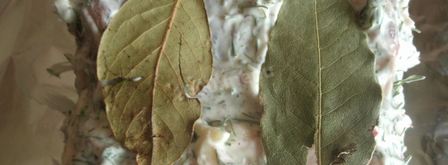 грудинка запеченная в фольге. Шаг 5