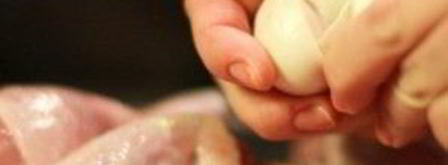 сливочная курица с тархуном. Шаг 2