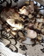 Куриная печень с грибами