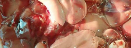 куриная печень с хурмой. Шаг 2