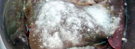 печень говяжья по-строгановски классически. Шаг 2