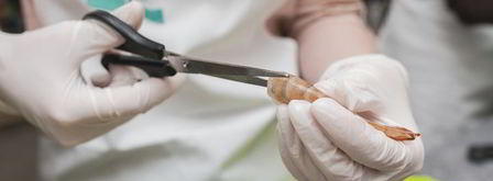 паэлья с морепродуктами и цыпленком. Шаг 4