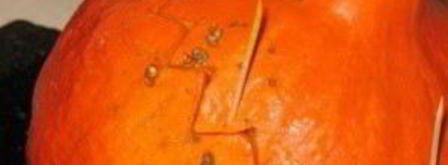 плов с тыквой и курицей. Шаг 5