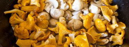 грибное рагу с уткой. Шаг 9