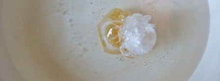 грибное рагу с яйцом пашот и крутонами. Шаг 10