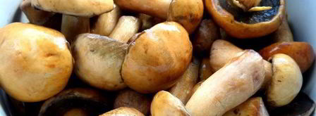 грибное рагу в горшочках. Шаг 2