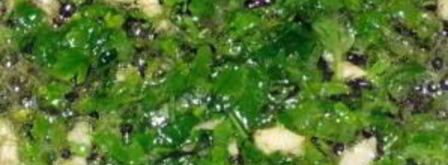 ризотто с красной рыбой. Шаг 2